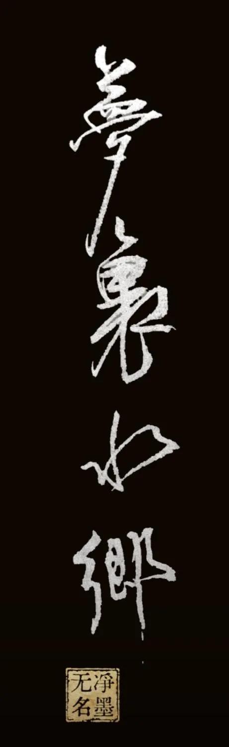 梦里水乡
黑白反色加分吗？
好像还不如底图[捂脸]