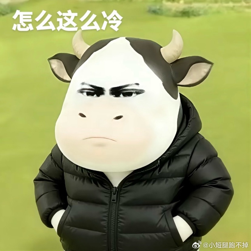 一键入冬的感觉啊啊啊我要冻成🐶了短哥这边没有我的厚衣服早上他上班前拿了一个外套