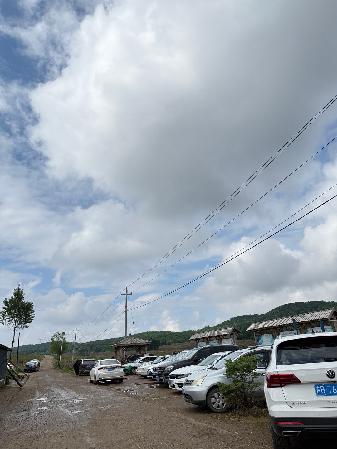 科学的尽头是玄学 大半夜来山沟里排队看卦[开摆]  ​​​