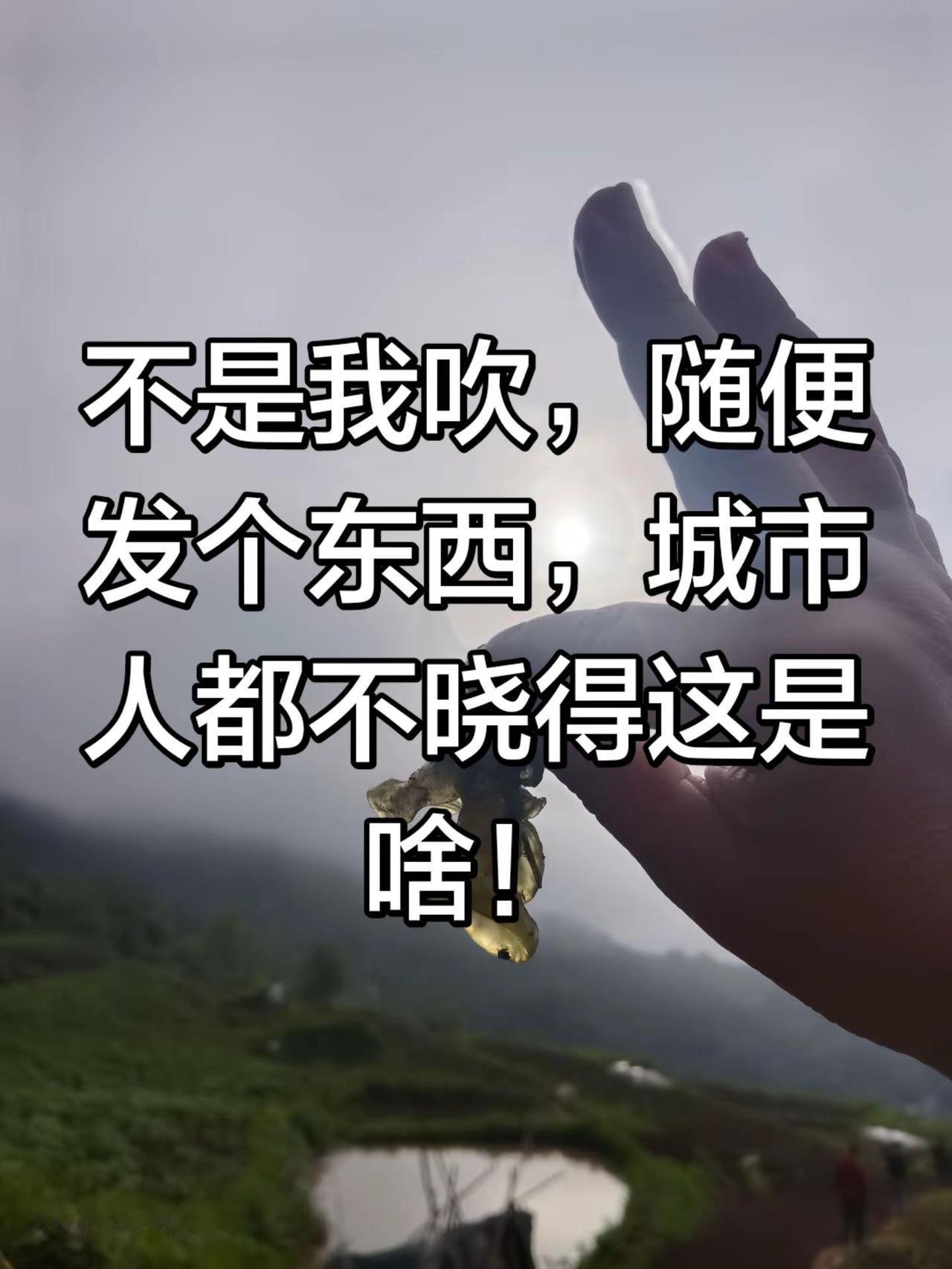 路边随手捡的。