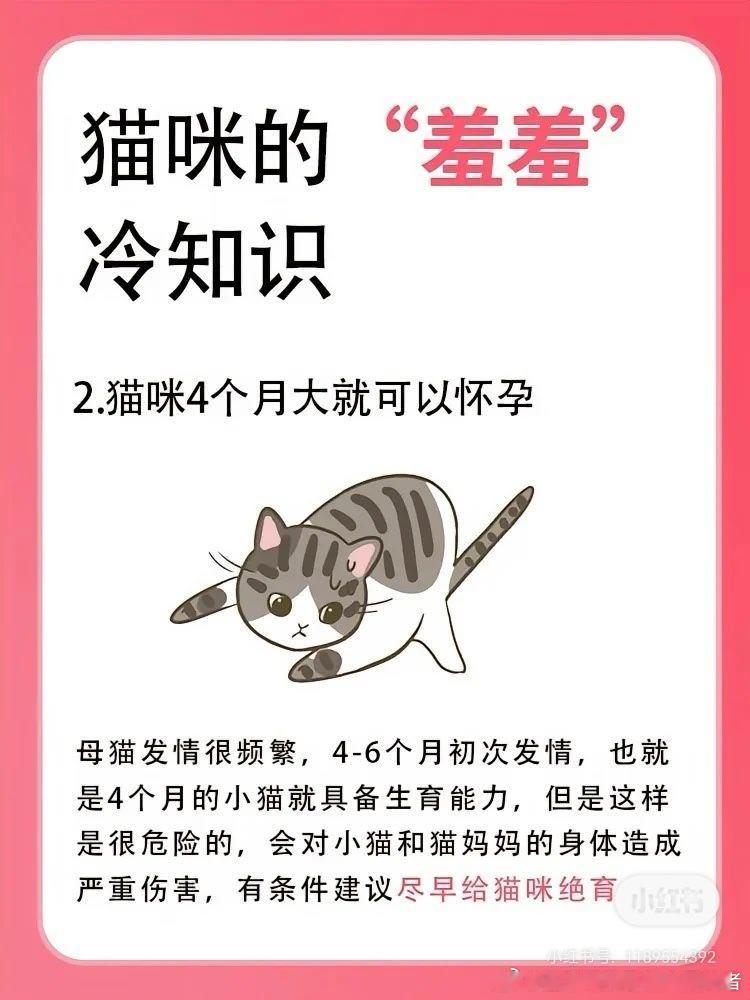 小猫四个月就发情了，据说家养的的小猫要遮光3只小母喵呢，靠。