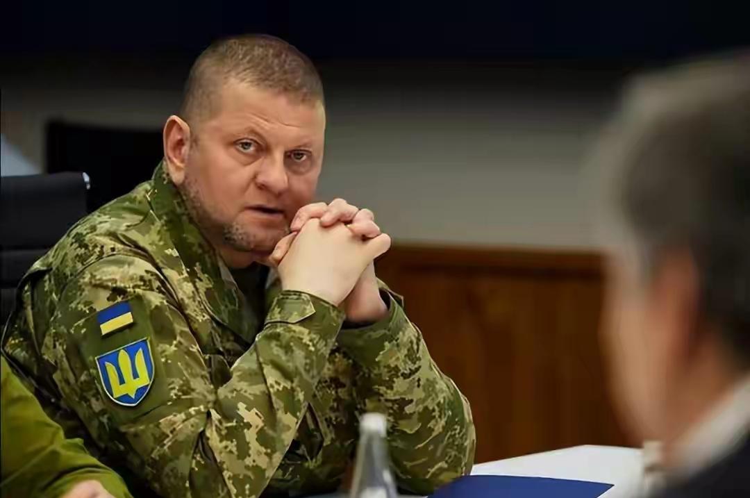 当地时间12月16日，乌克兰武装部队前总司令、现任驻英国大使扎卢日内的一番发言，