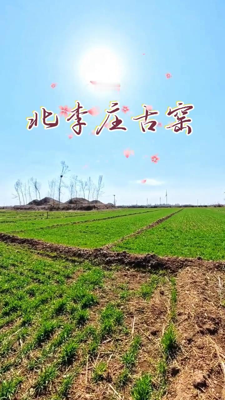 北李庄古窖。