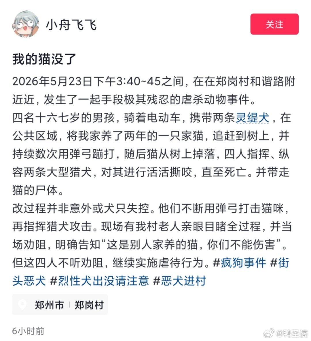 -看到小猫照片的瞬间，真是泪目多可爱的一只小白猫…居然是以这么残忍的方式离开的…