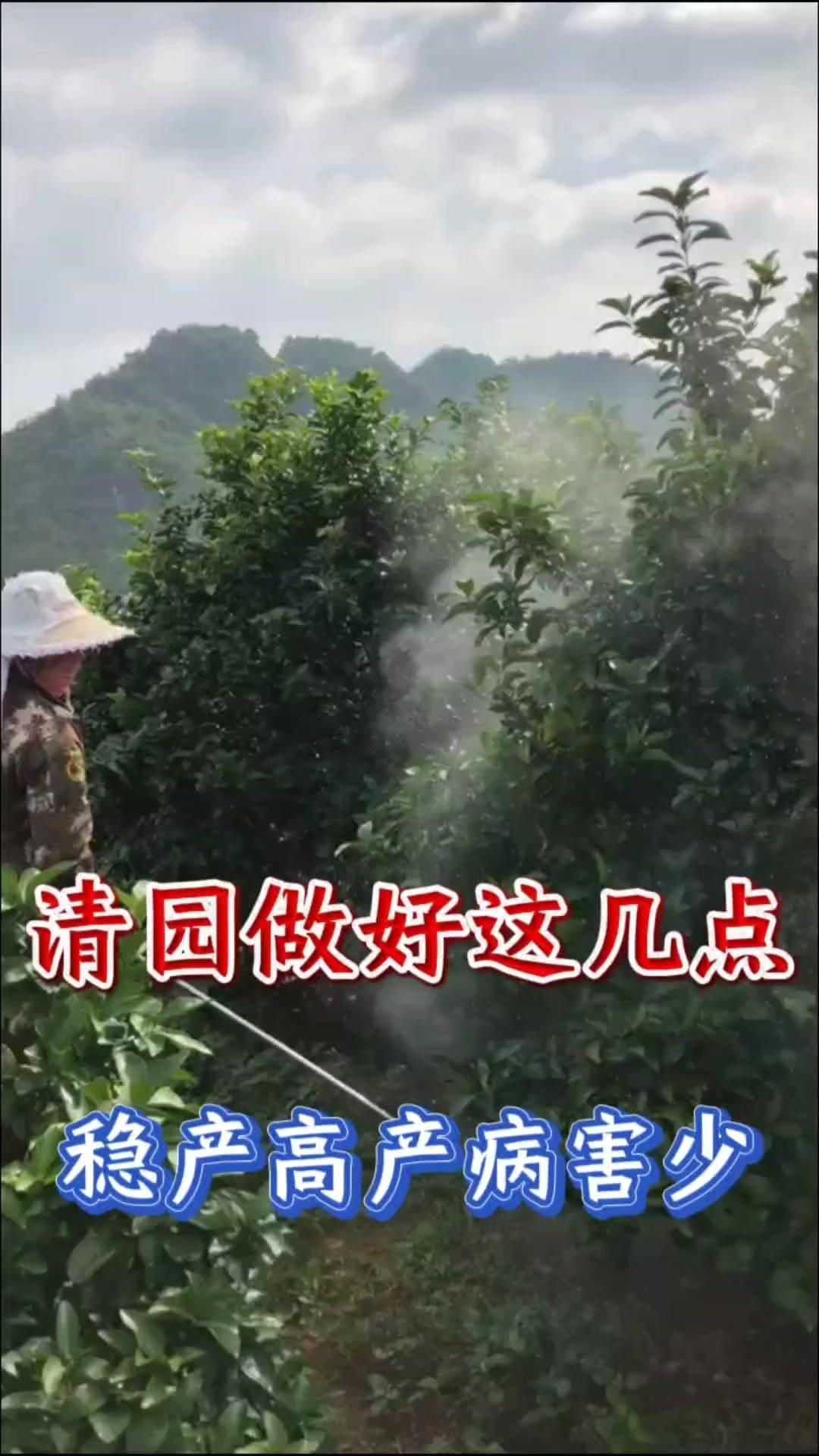 1️⃣杀灭红蜘蛛：
冬季清园时，气温虽降低，但红蜘蛛仍可能爆发，尤其是柑橘产区。