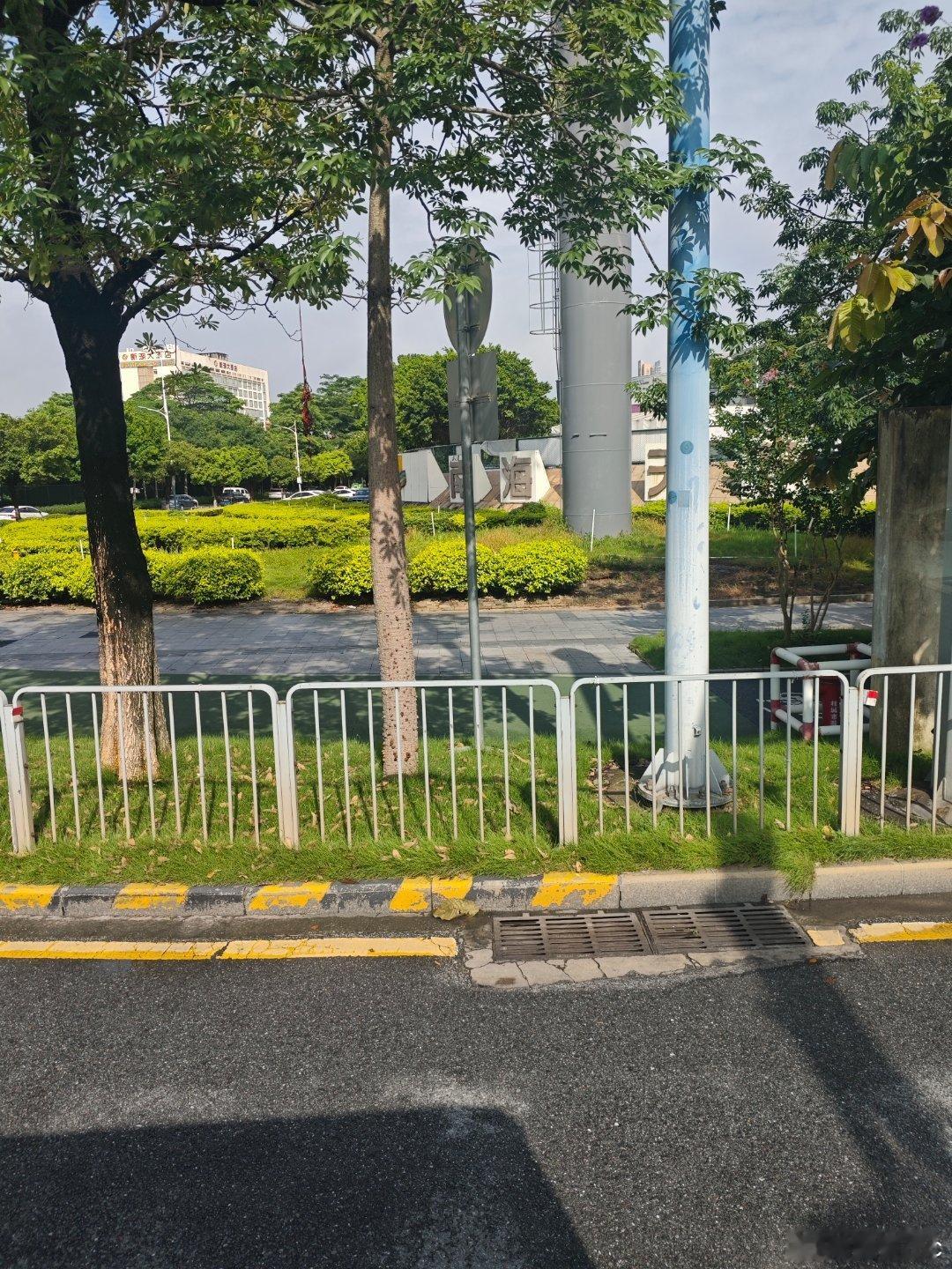 今天早上天气不错！适合外出！ 