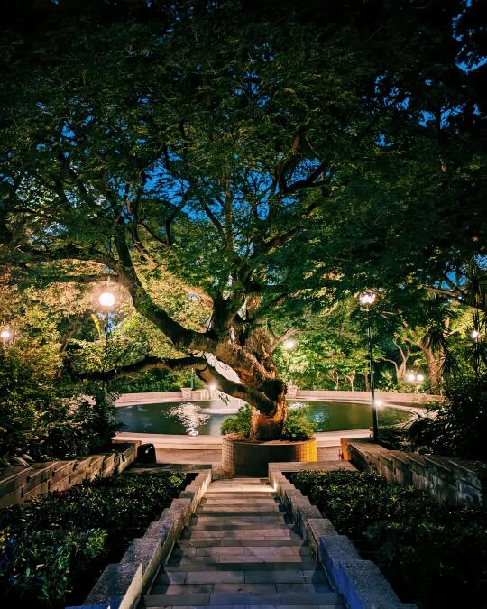 🇭🇰Kowloon Park｜把故事写成诗