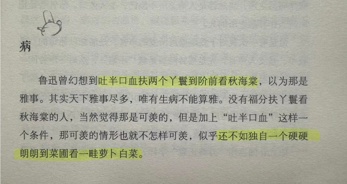 老辈子是会怼人的鲁迅说，吐半口血扶两个丫鬟到台阶前看秋海棠是雅事。梁实秋说，还不