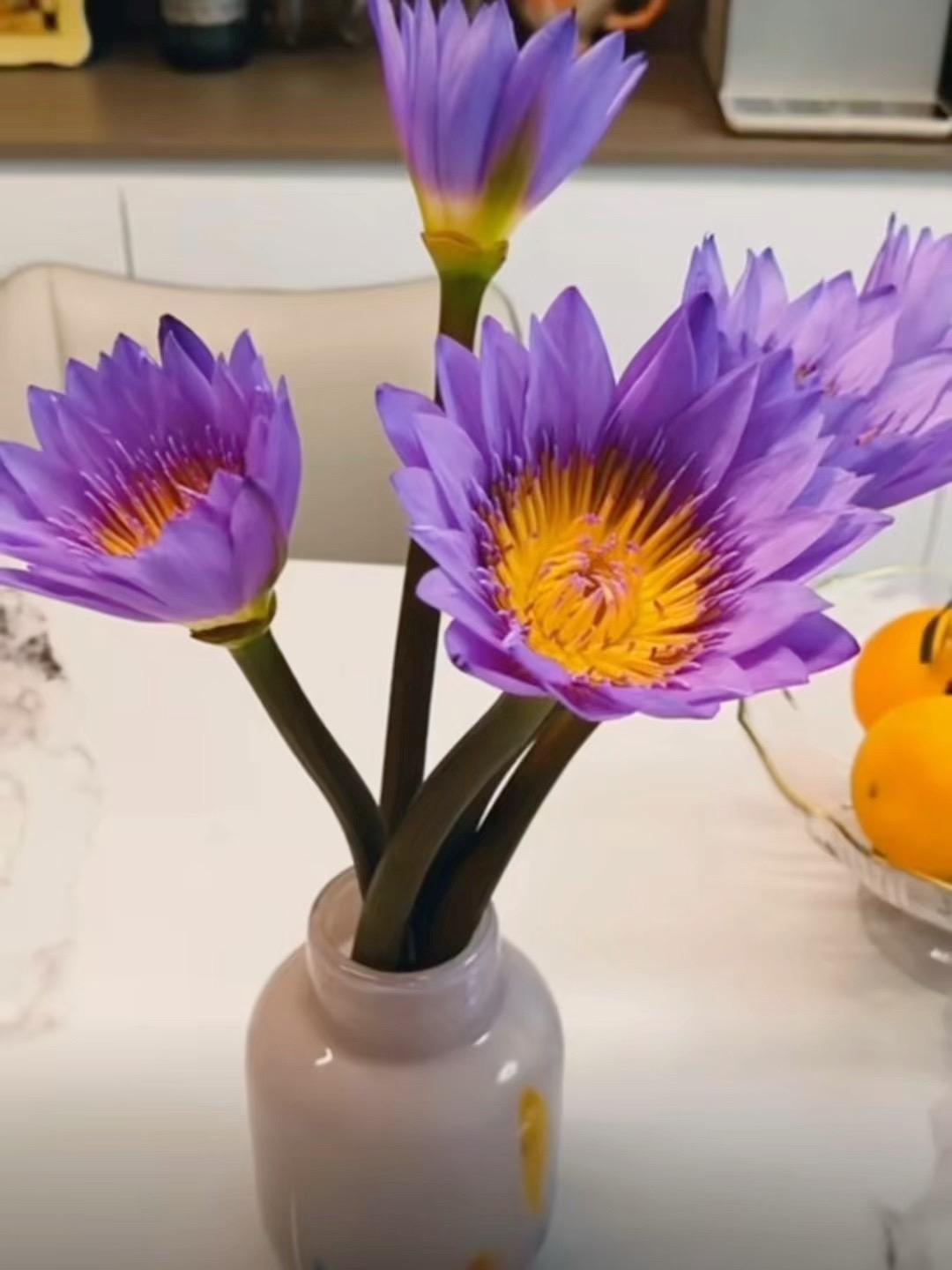 到手你才知道什么是惊艳