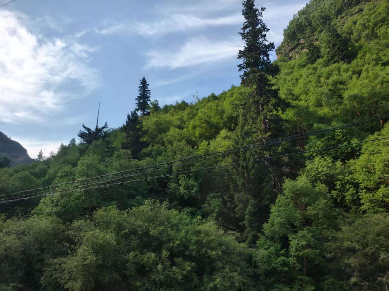 夏日生活打卡季 夏日生活打卡季
青山绿水环绕，古木参天矗立。开启甘南三日游，目之