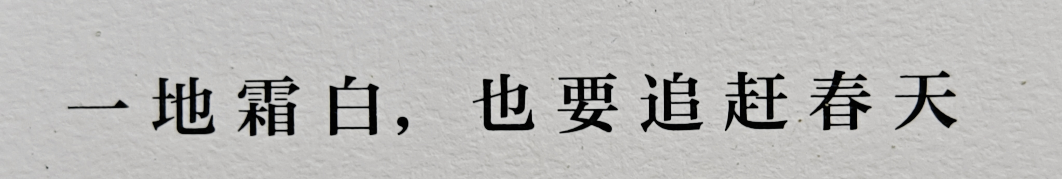 但赴春暖，莫管风雪。 