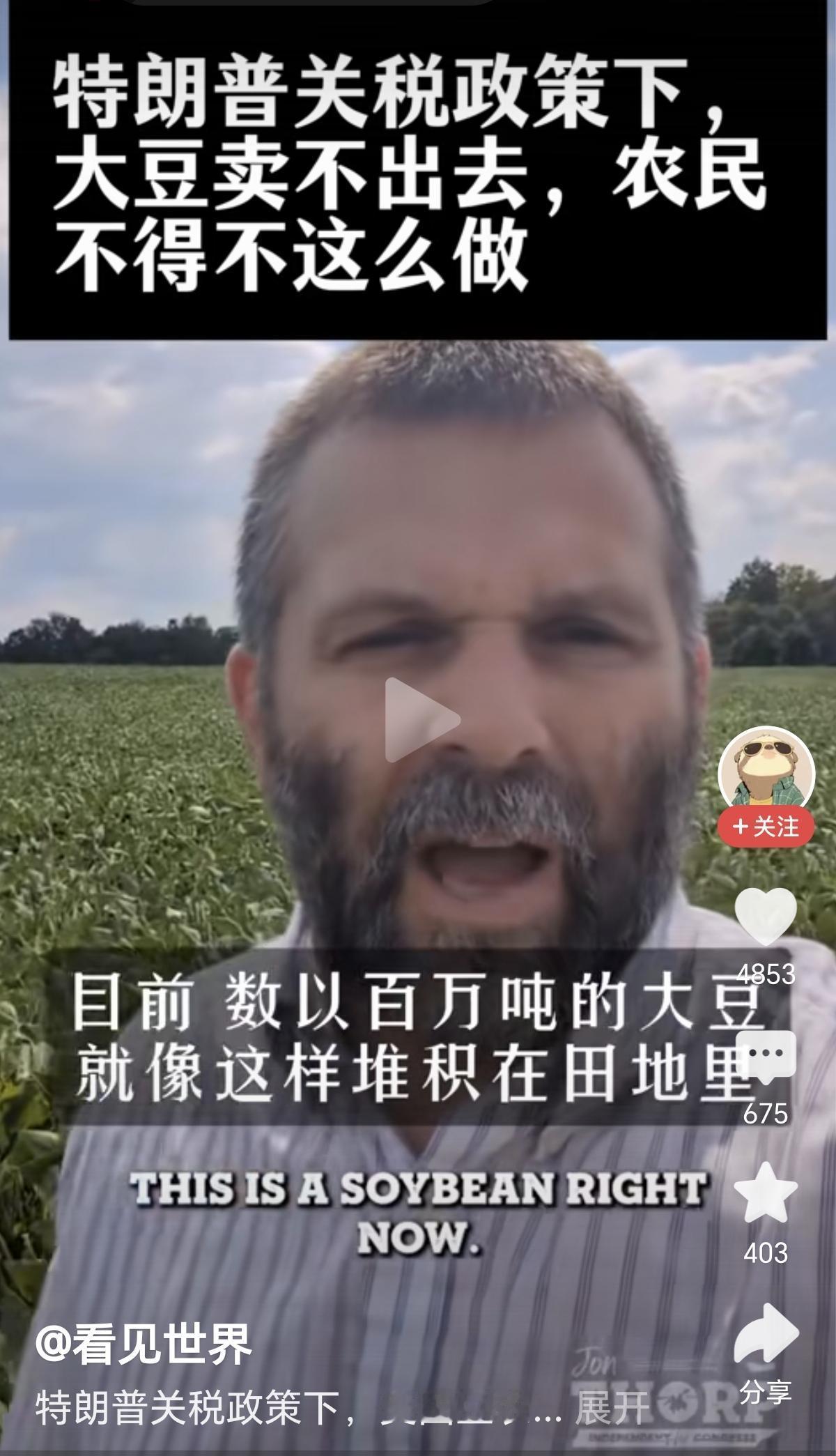 大漂亮：熊猫，大豆滞销怎么办？能不能帮我解决一点！
熊猫：我来教你，从我这买点卤
