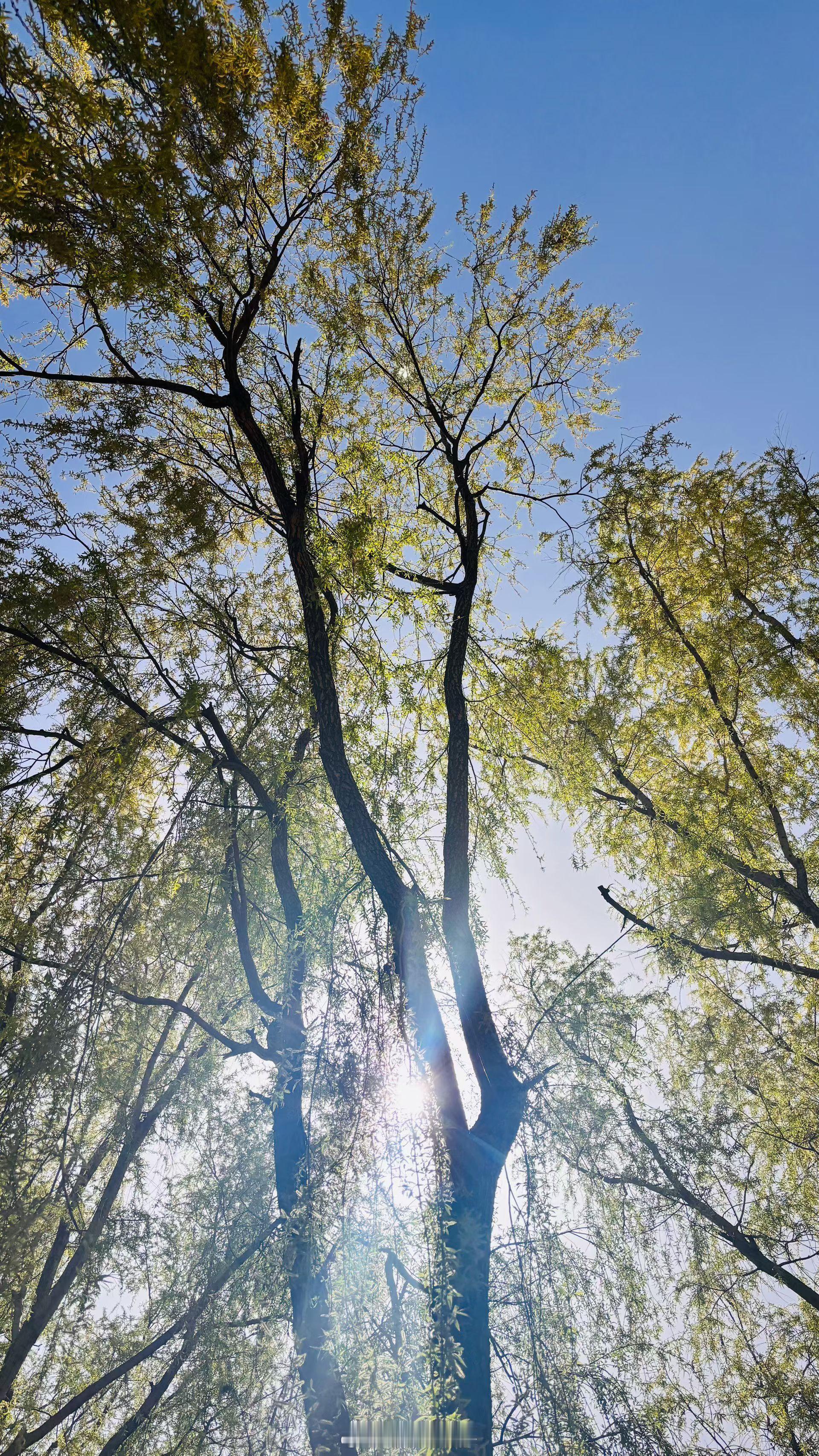 世上没有捷径。该走的路没走完，就永远到不了要去地方。陈年夜话