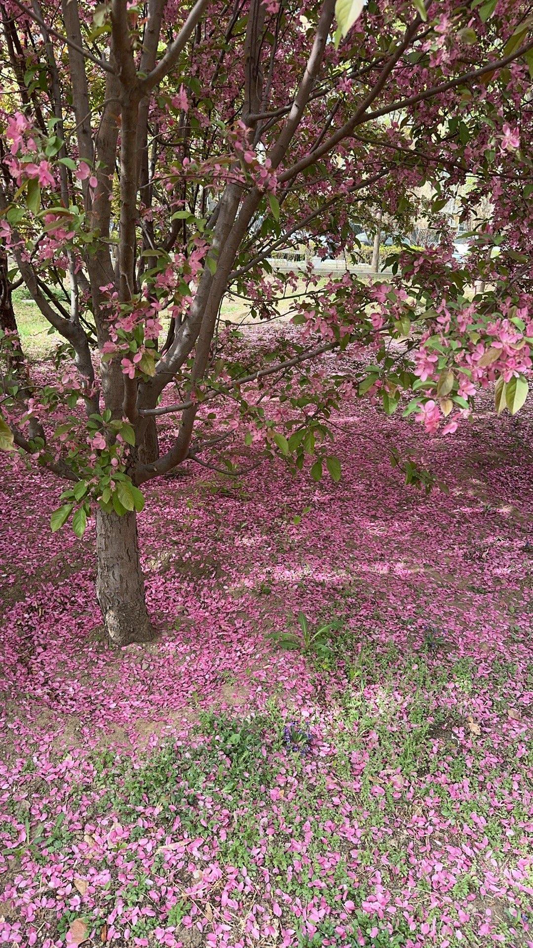 怎么理解这照片？