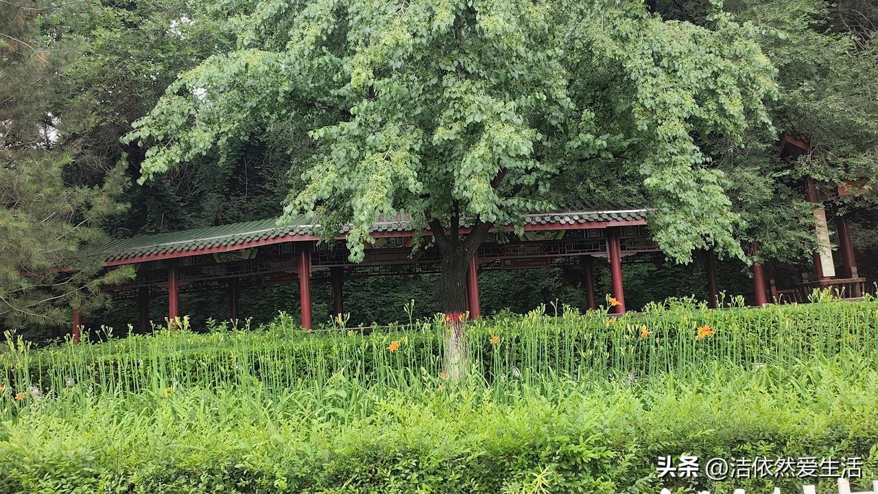 雨后，午后
公园，美景
漫步，拍照
悠闲，治愈
[微风][微风][微风]
记录我