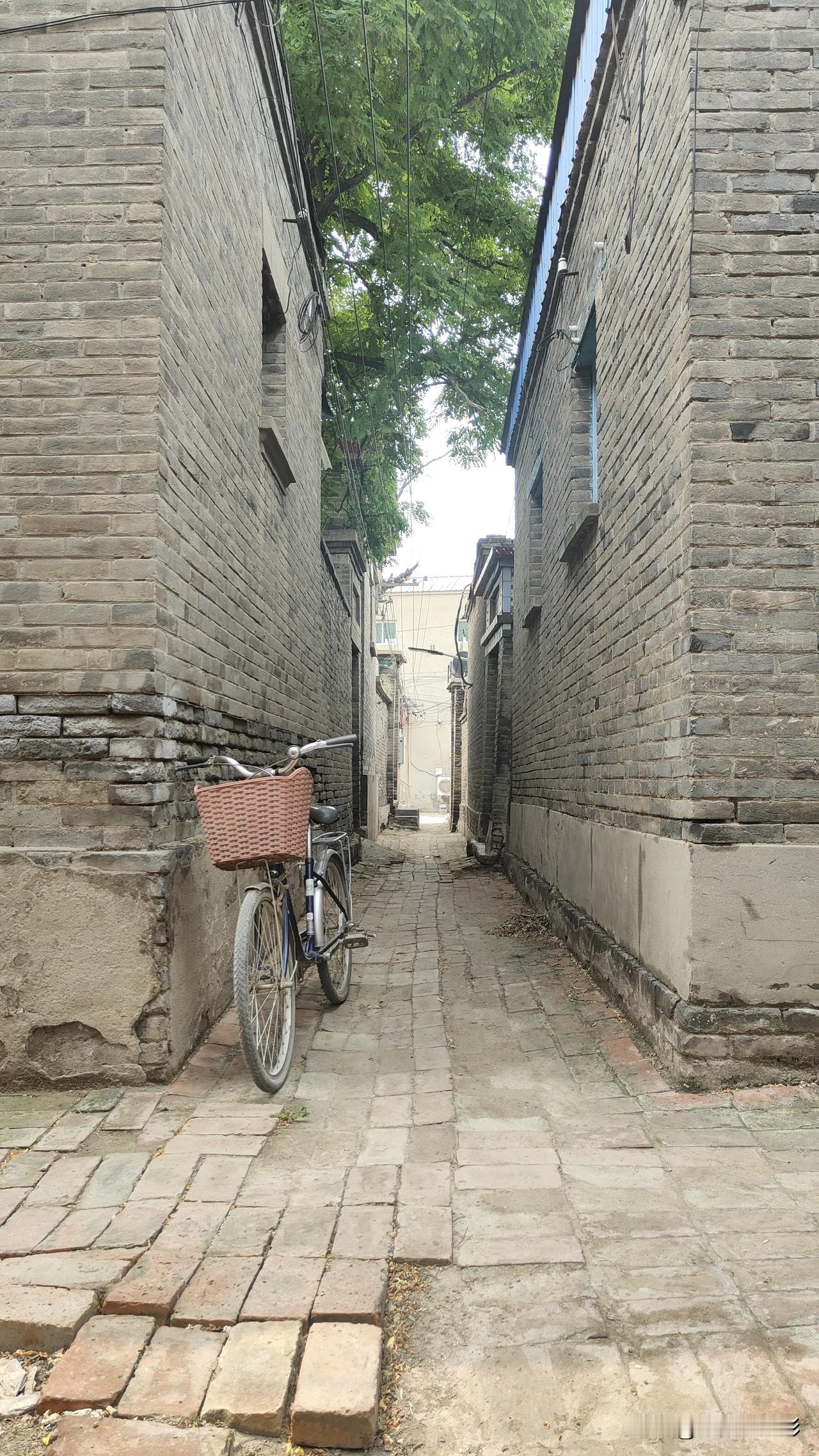 分享一张你最近随拍的照片昨天，也就是2026年6月3日，我去了一趟雄安新区的一个