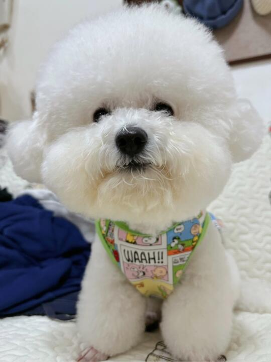 这么水嫩的小鼻嘎 我一口亿个