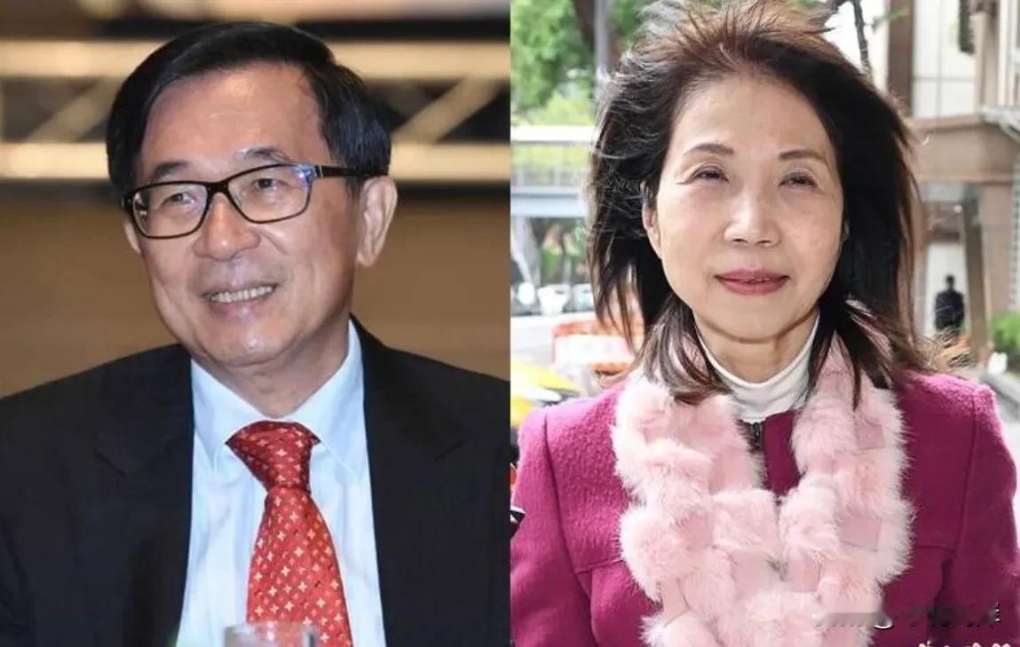 民众党新科民意代表陈昭姿算是“资深扁迷”，过去是力挺陈水扁的深绿人士。但最近她和