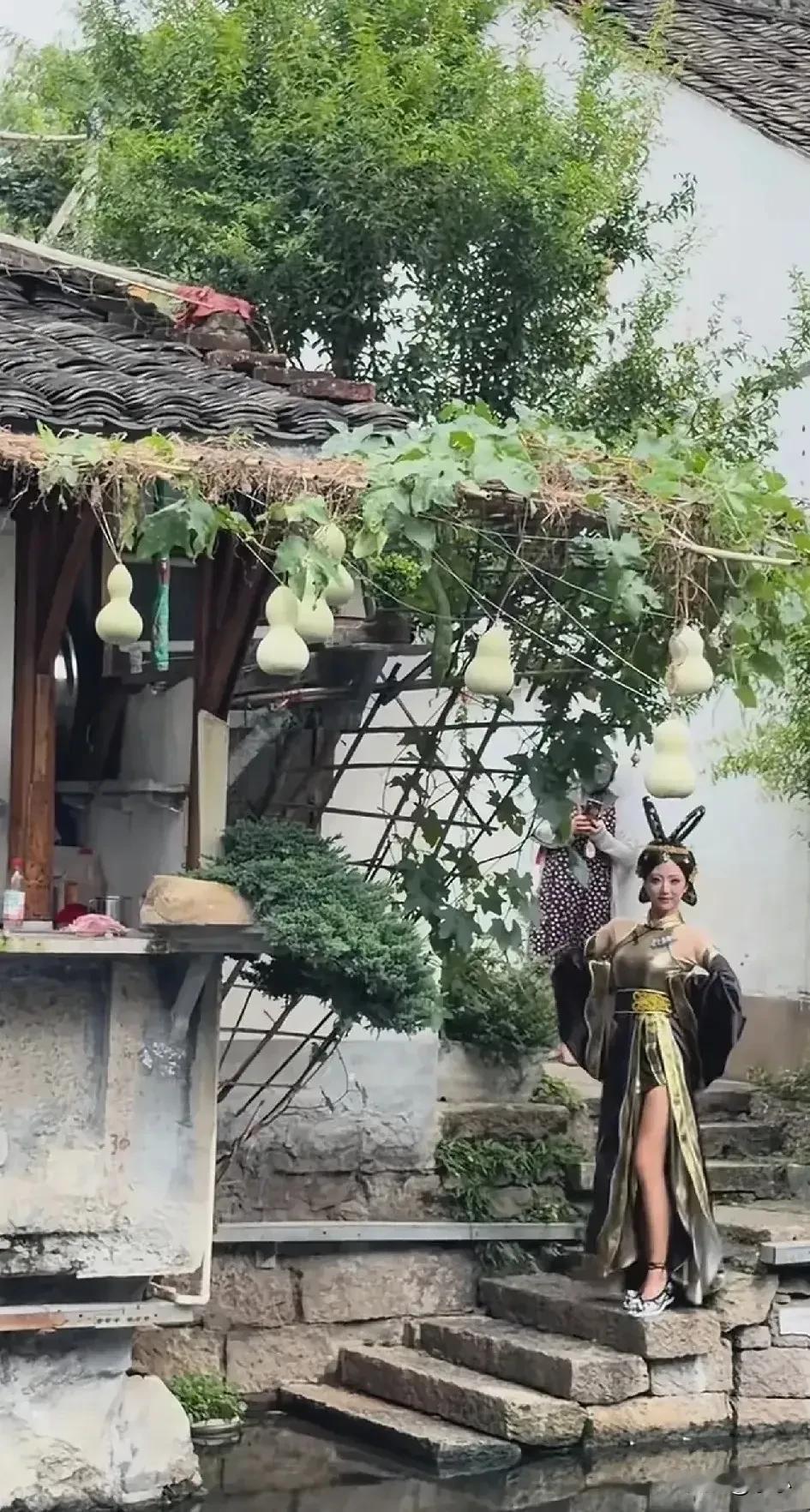 绍兴文旅，
你糊涂呀！
前脚你还让爷爷别摘葫芦，
后脚爷爷就把葫芦给剪了。

这