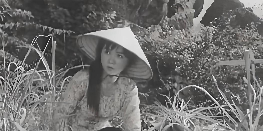 1975年，上百名美军惨死在越南美女特工阮文慧手下，美军悬赏10万未果，谁知4年
