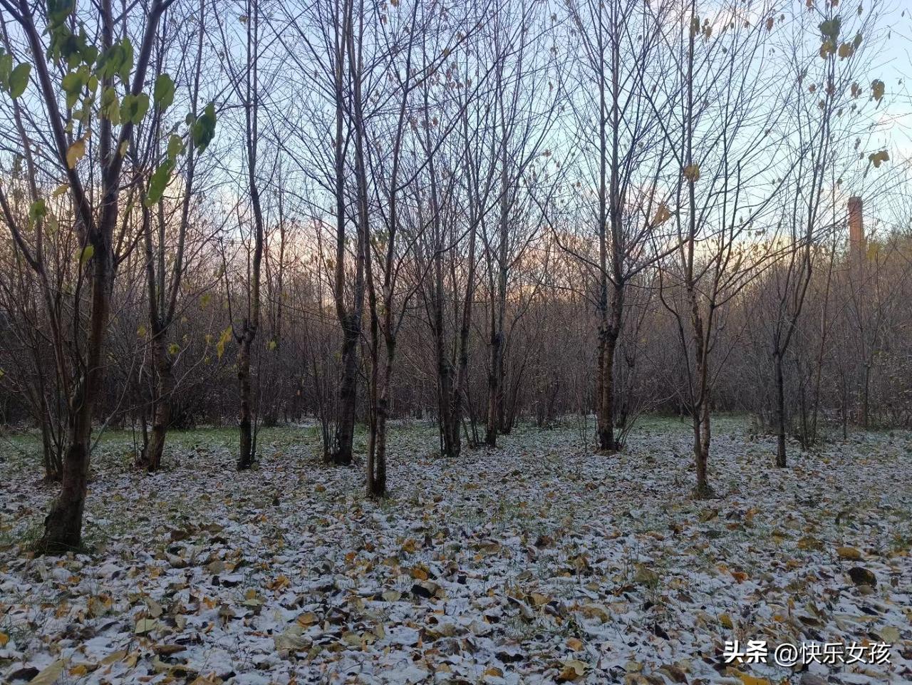 你认为属于你的幸福是什么每日幸福的感悟 对幸福的感觉