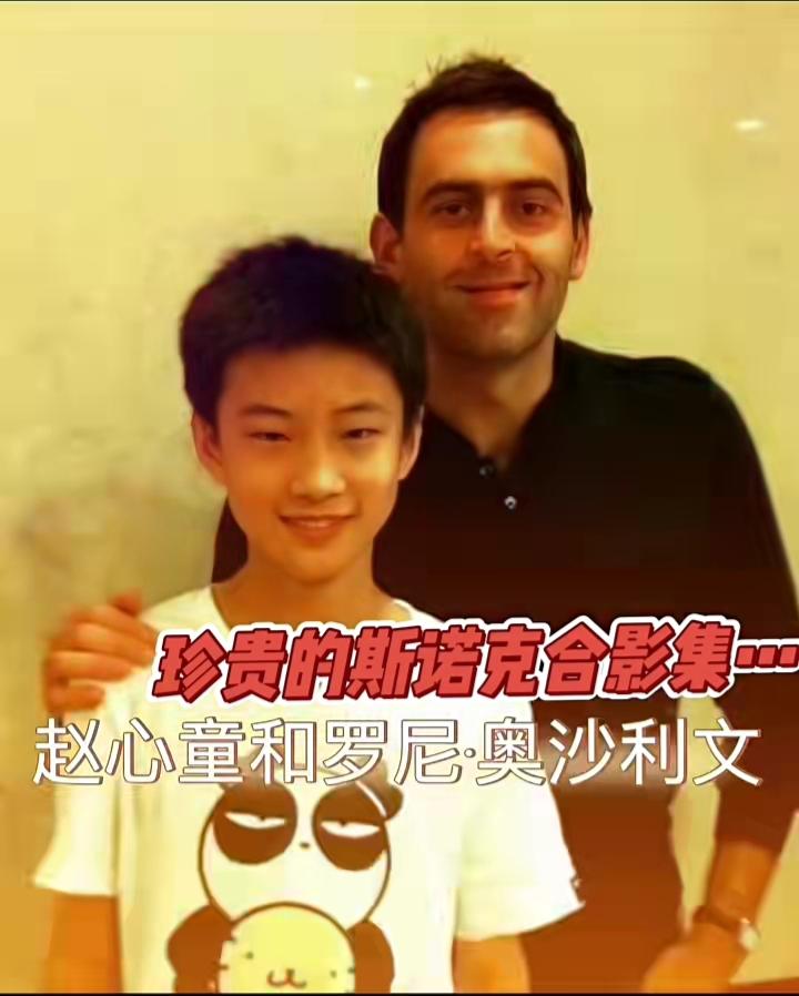 斯诺克的传承：长大后我就成了你！