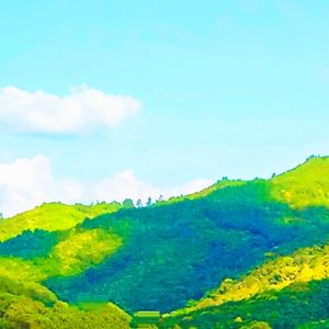 远山自然