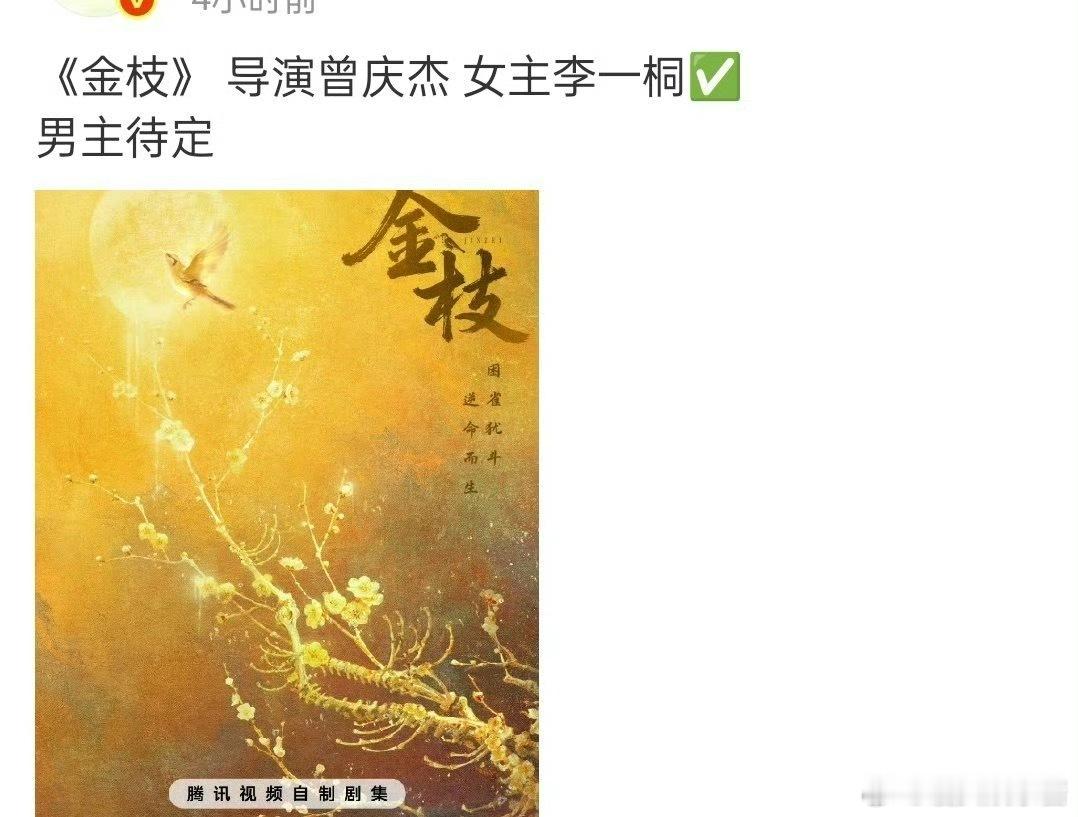 金枝 李一桐🐧《金枝》女主定了李一桐，她能扛起来吗 ​​​