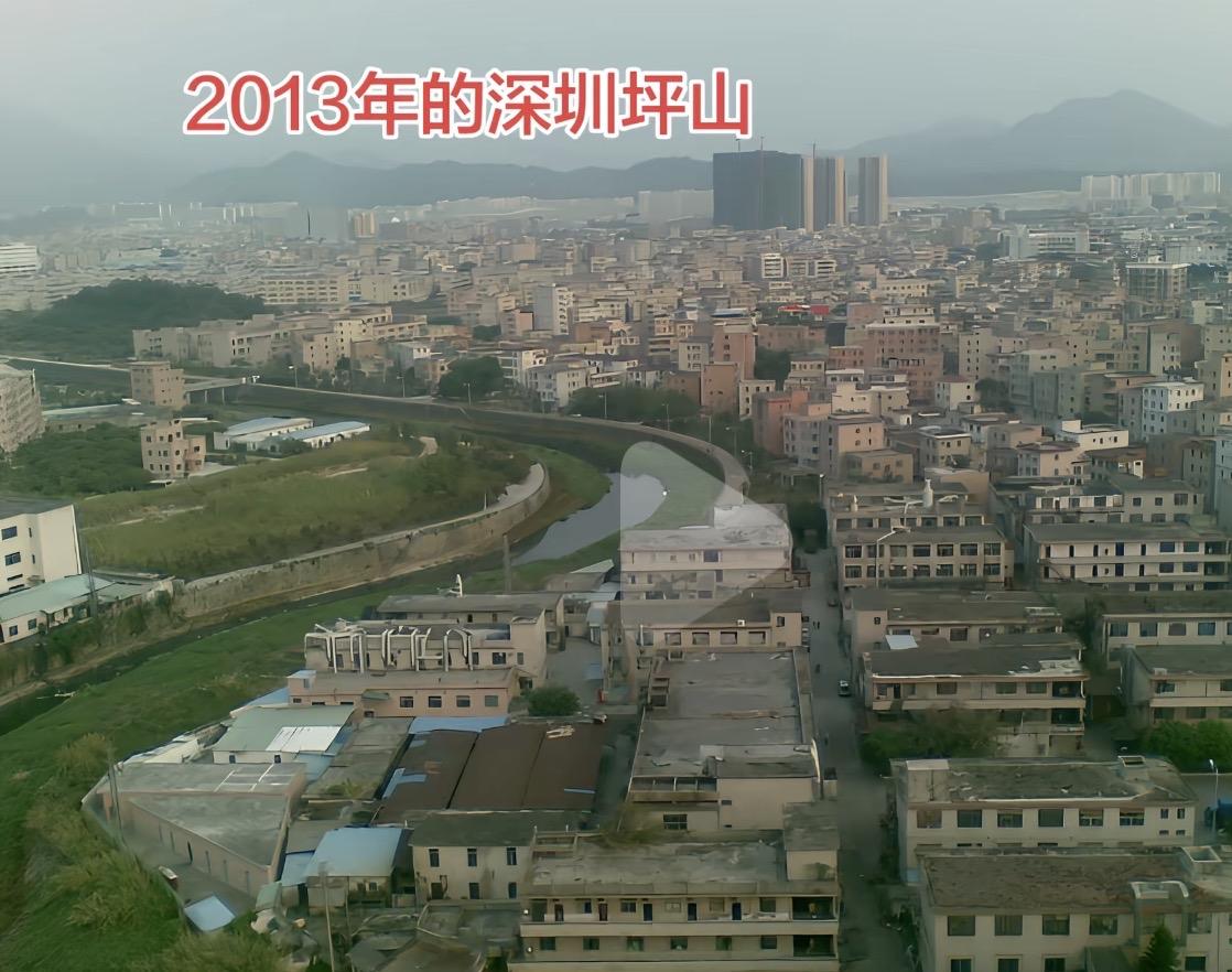 2013年的坪山，让我穿越回去，我也不敢买[偷笑]，看这照片纯粹是看不到一点希望
