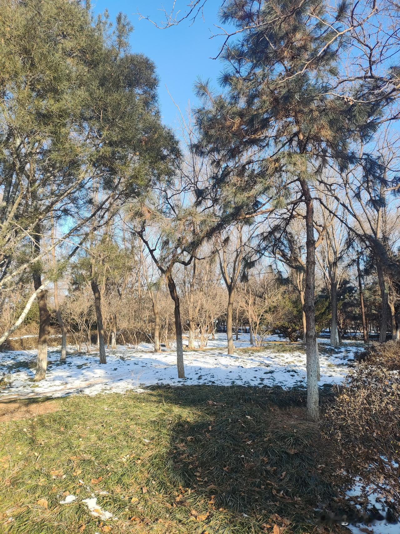 “牛逼”不算严格意义上的脏话，但属于口语化的粗俗用语，带有较强的市井气息。
 