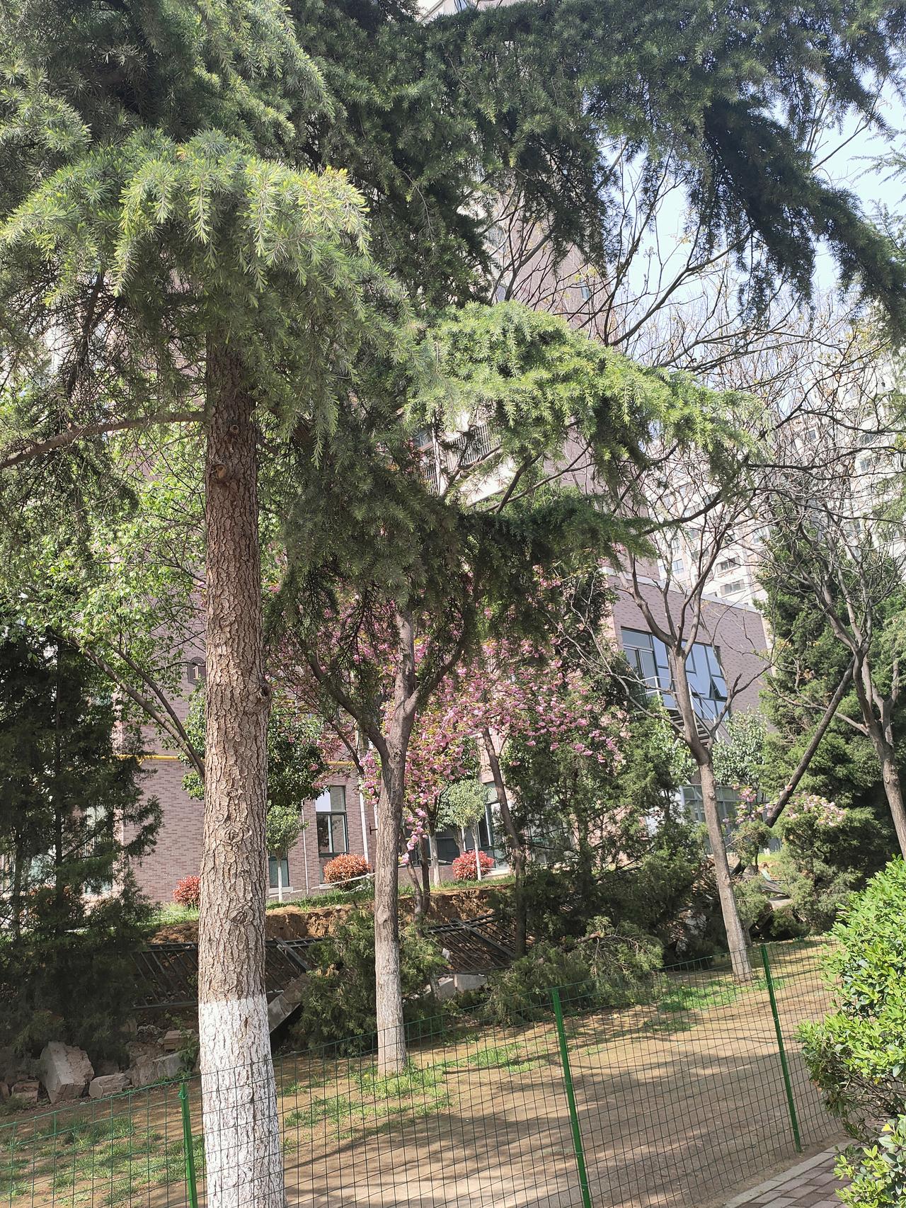 首先是健康的身体。这是退休后最硬的底气，能吃能睡、能走能动能自理，不用拖累儿女，