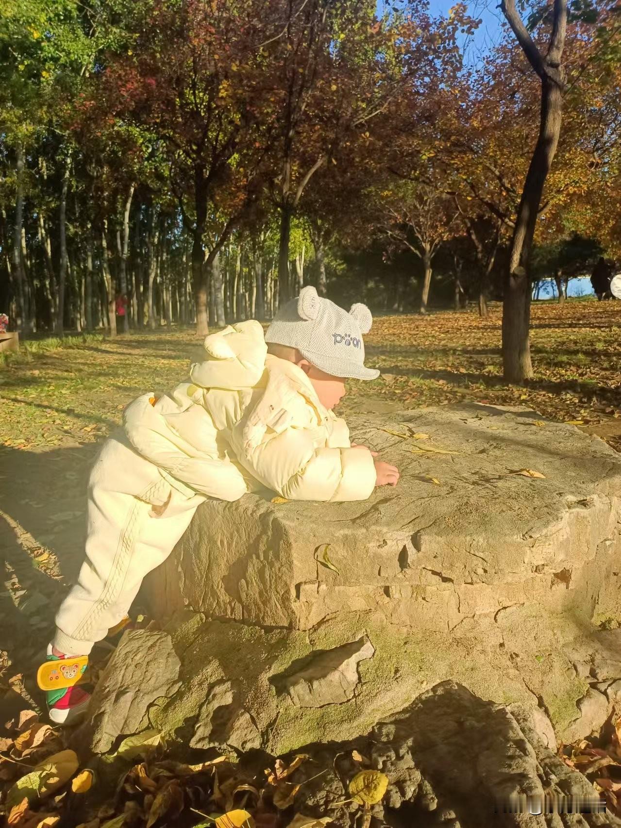 #秋日生活记录#婴儿笔记：从公园骑车回来的夜路上
梁东方
和我想象的一样，甚至是
