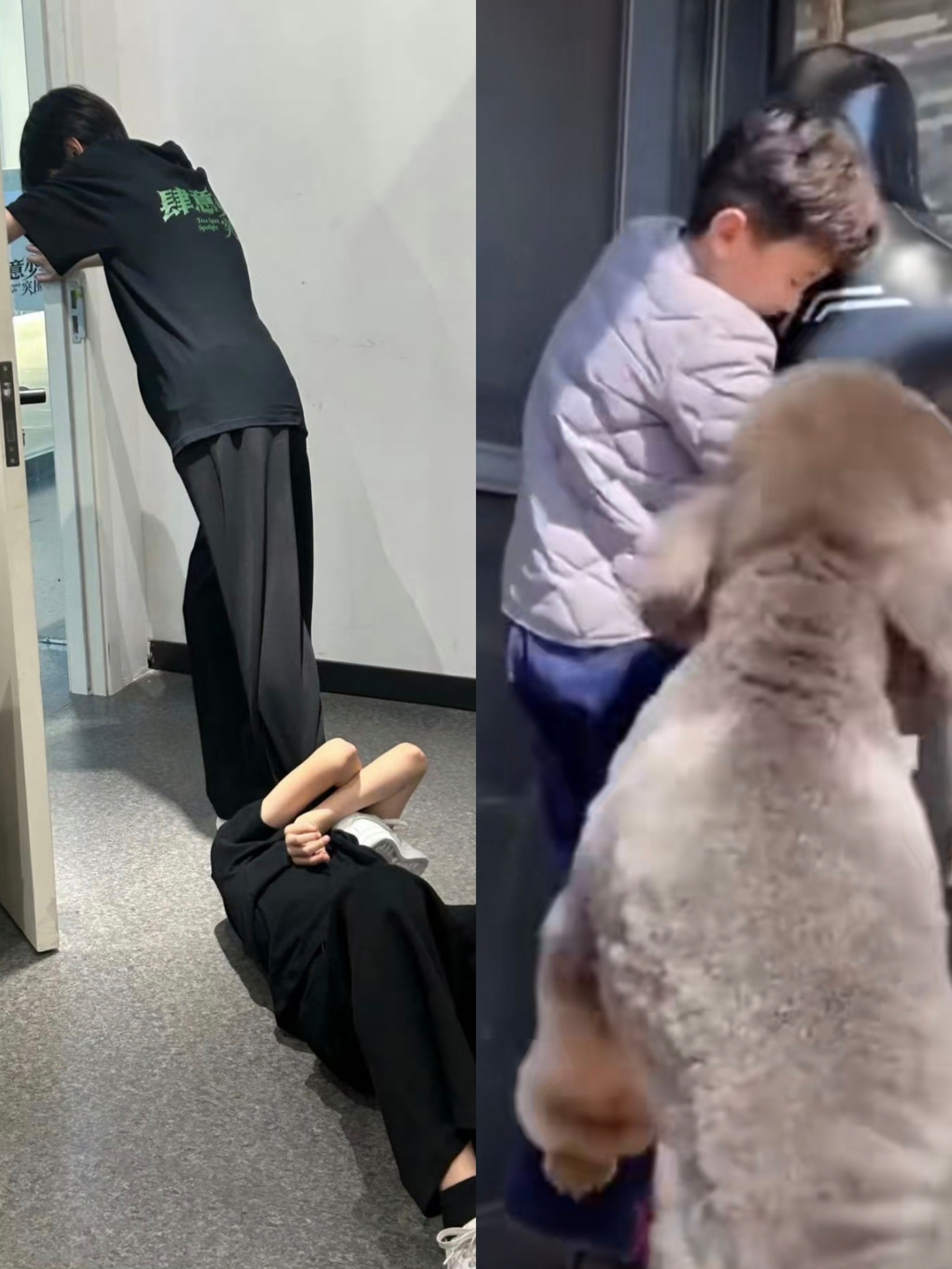 我看丝罕也别狐狸塑了，直接🐶塑吧，与皮皮相似的百分之99，小狗来嘬嘬嘬​​​