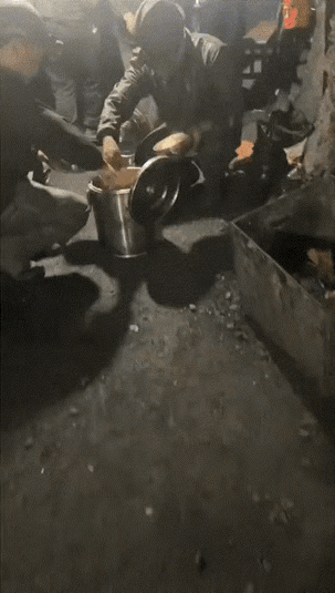 这哪里是老鼠，这是保命的小神仙呀。