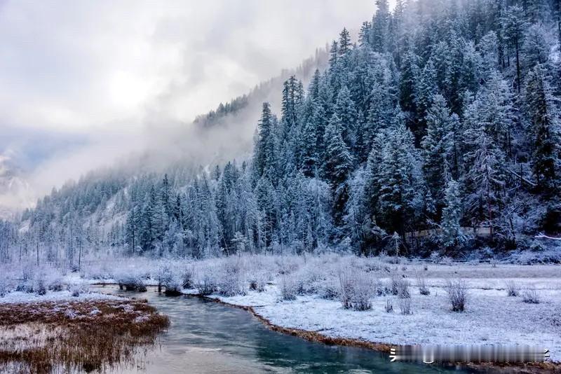 今年冬天真的和以往大不同。记忆里的冬天寒风刺骨、低温难耐，可今年很多地方阳光充足