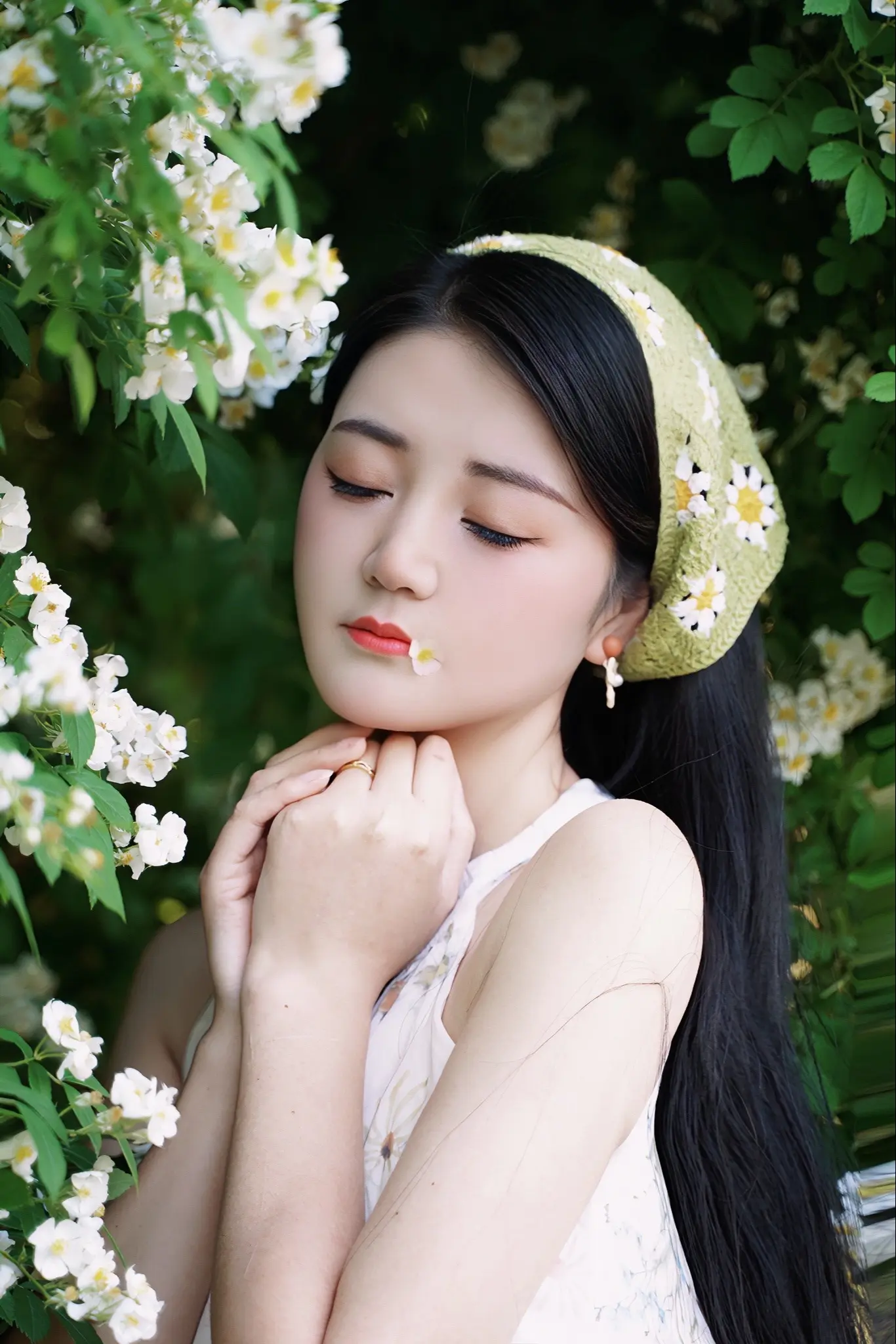 分钟一组蔷薇花的盛开！