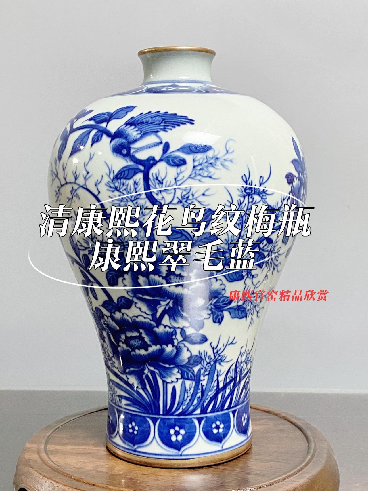 清康熙翠毛蓝花鸟纹梅瓶，典型的康熙青花发色；胎釉特征紧皮亮釉，很强的玻璃质感、大