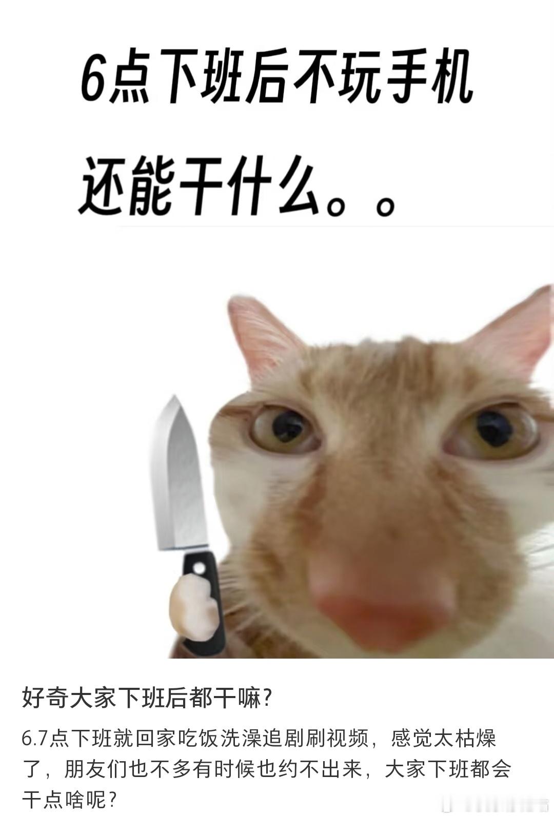 好奇大家下班后都干嘛❓ ​​​