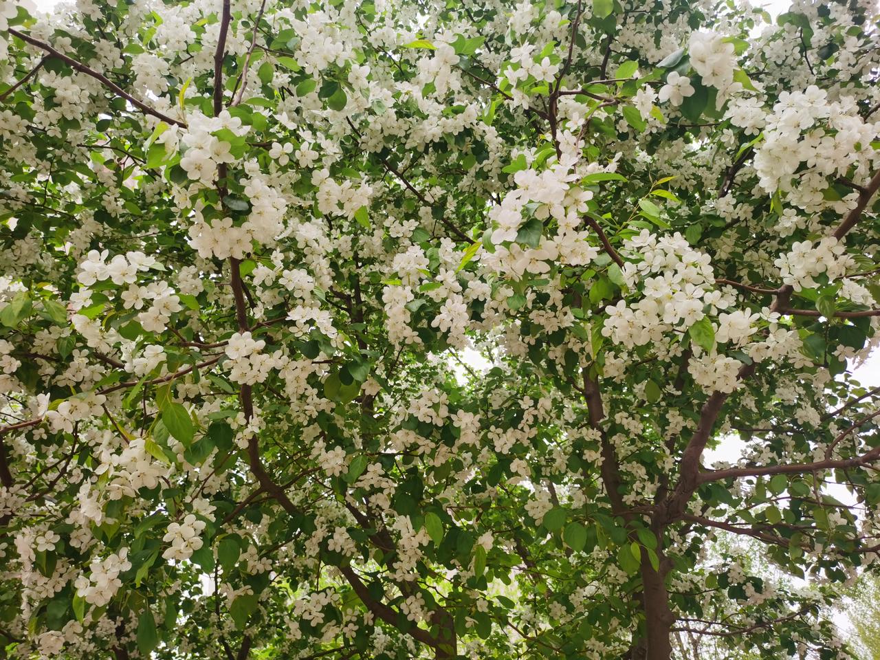 最舒服的打工人状态：
     1、 步行10分钟能到公司；
     2、 周