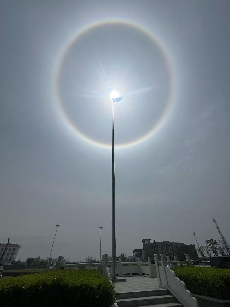 《大丰日晕似蒲公英》

大丰晴日绽仙英，圆晕如绒向日倾。
醉揽清光呼太白，共将天