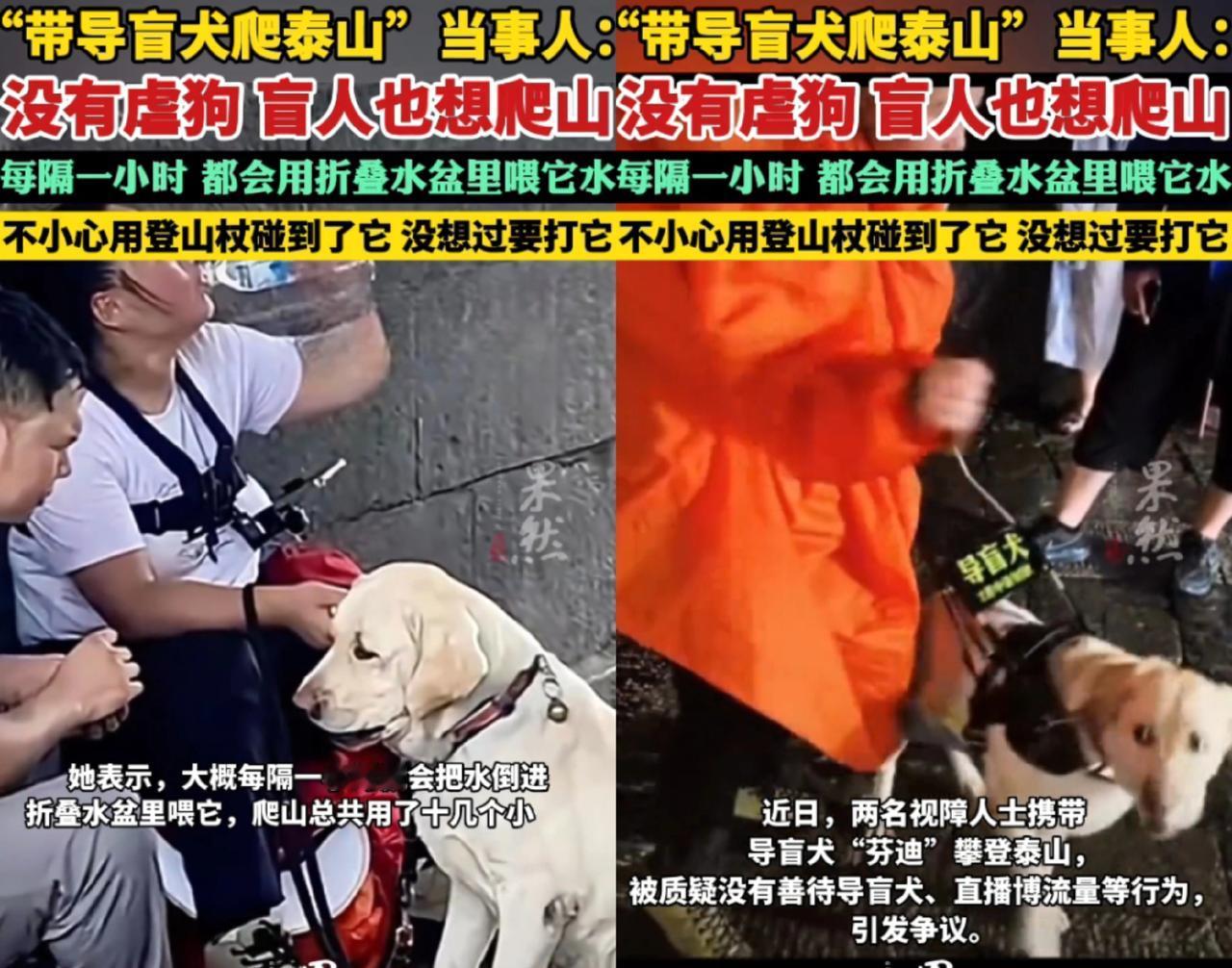 真当大家眼瞎？
王营营带着导盲犬爬山还喊冤，说什么“盲人有爬山权”，这话听着没毛