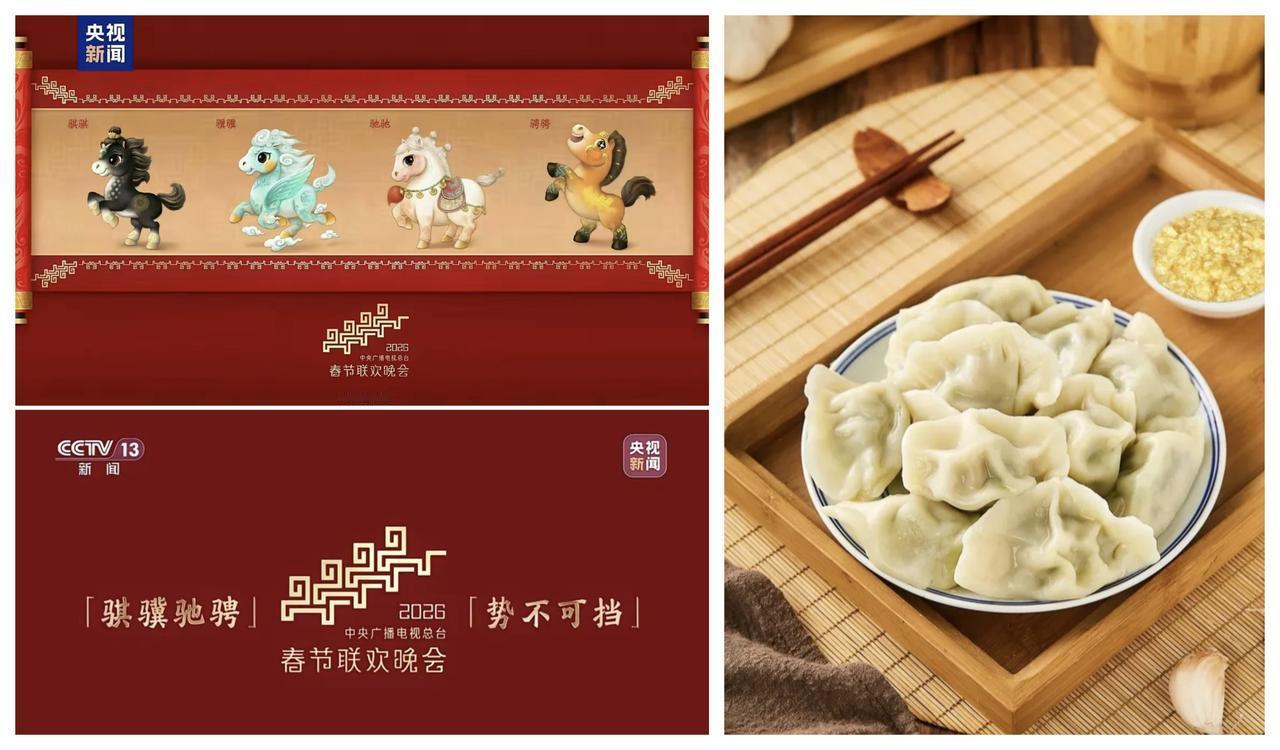✨骐骥驰骋，中国速度驷马难追✨

🐼 2026年央视春晚，寓意中国在新的一年里