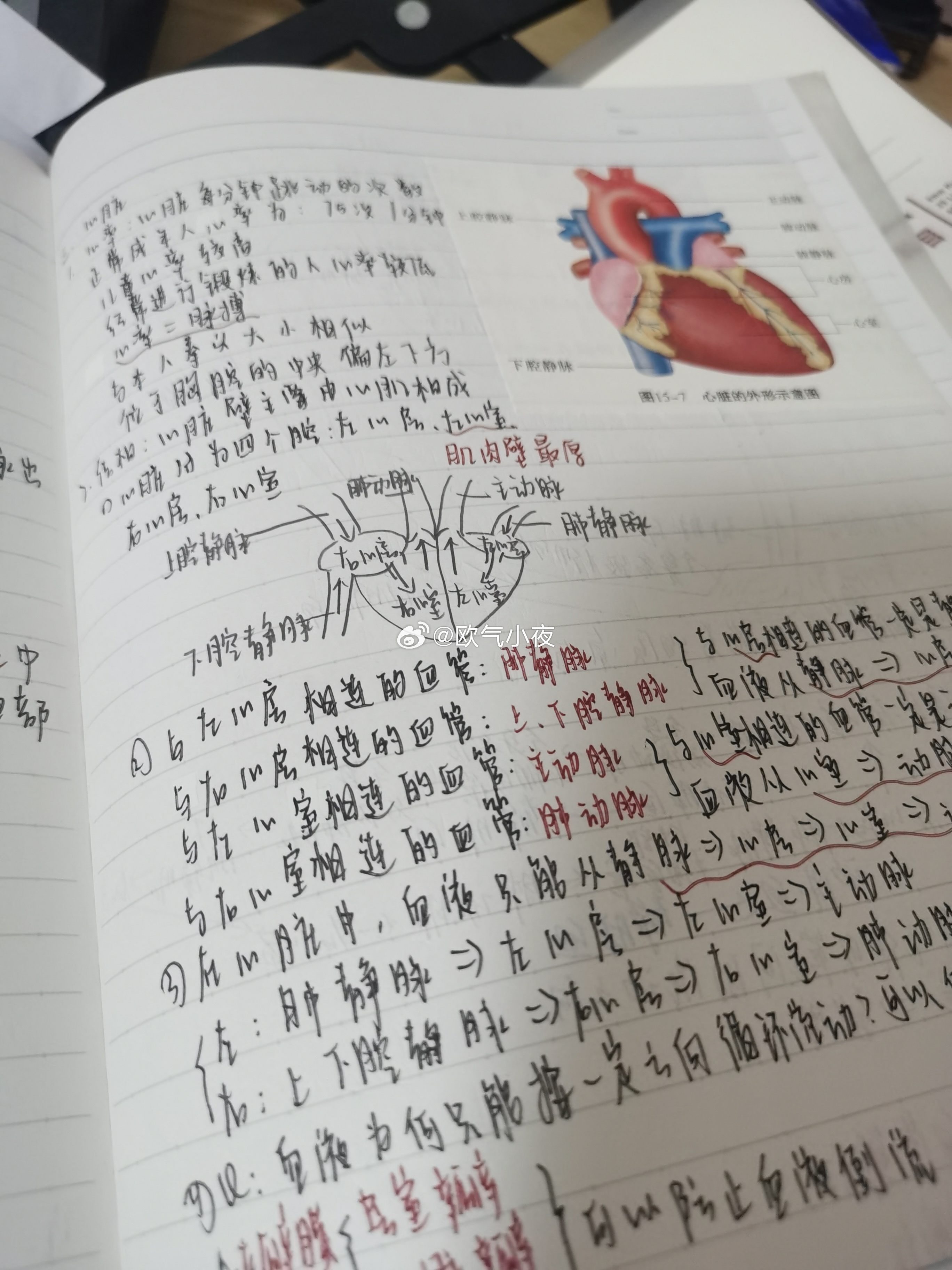 刷了一天雪花酥制作视频终于做上了真的好爱吃牛肉 少女心事日记2.0初一/初二会考