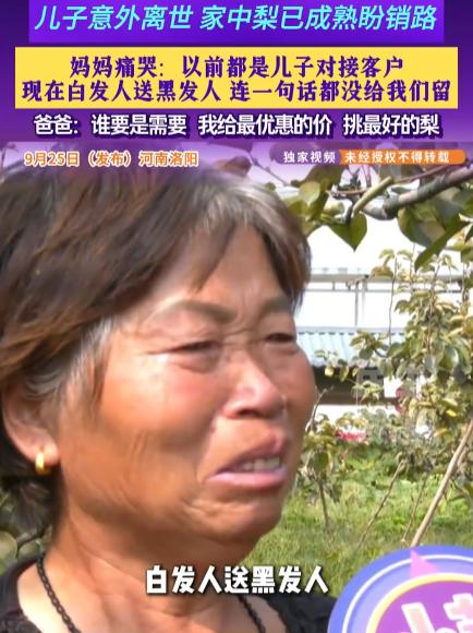 泪目！河南洛阳老两口遭遇白发人送黑发人，儿子骤然离世，数万斤成熟梨子销路成难题，