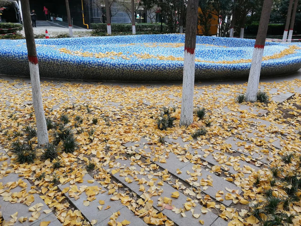 街衢交错任纵横，广厦参差列阵迎。
闹市避处隐古寺，绿树湖水映花红。
车流人潮繁华