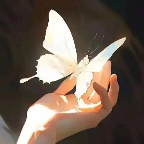 账户稳稳到50万了，这份开心是实打实攥在手里的暖。本以为今年的攒钱目标要卡壳，老