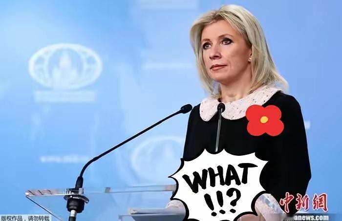 1月14日综合俄媒报道，俄罗斯外交部在评论伊朗局势时表示，俄方强烈谴责外部势力干