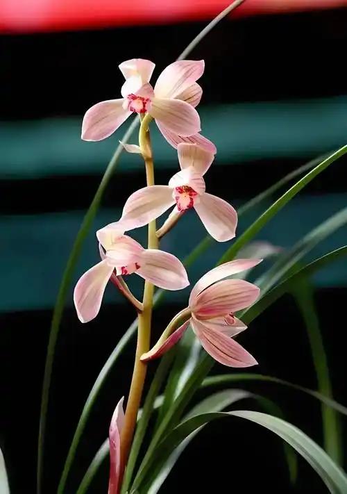 生而有理
活着无罪
一切存在
皆须敬畏