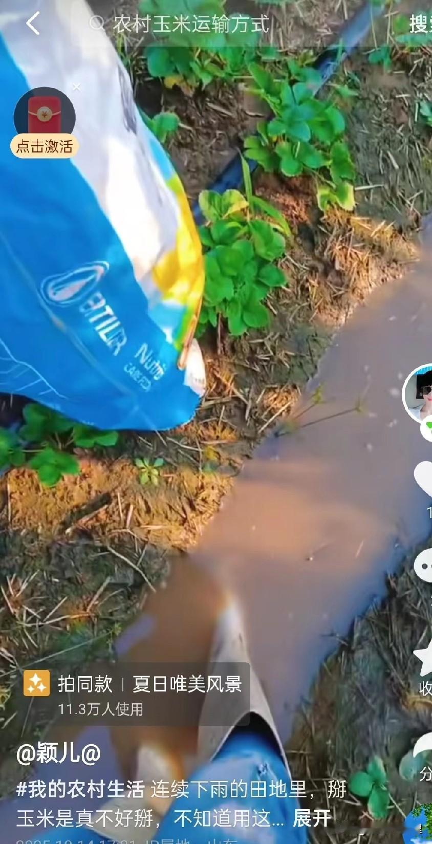 家人们，我们一定要爱惜粮食。
农民真是不容易，在田里干活的都是些老人，年轻人没有