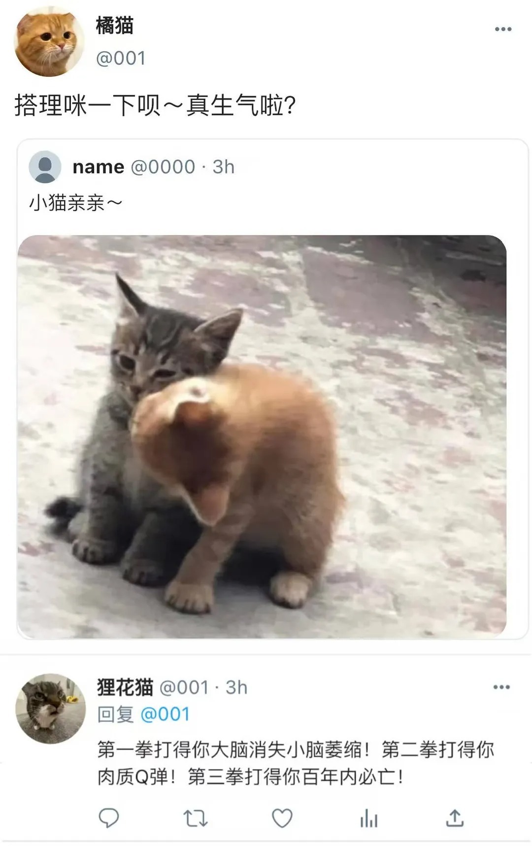 今日memes梗搞笑幽默 假如小猫会上网be like: 